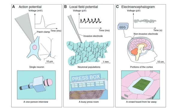 [转]无创脑电信号采集技术之一：EEG技术